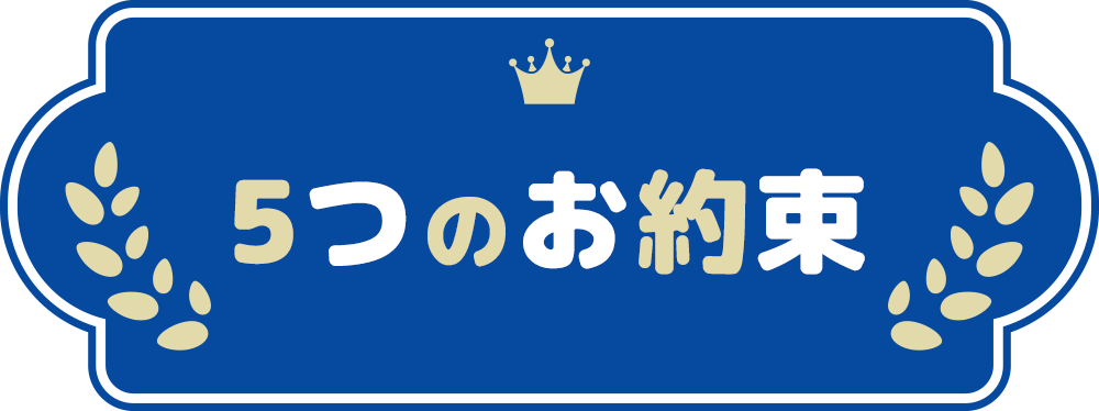 5つのお約束