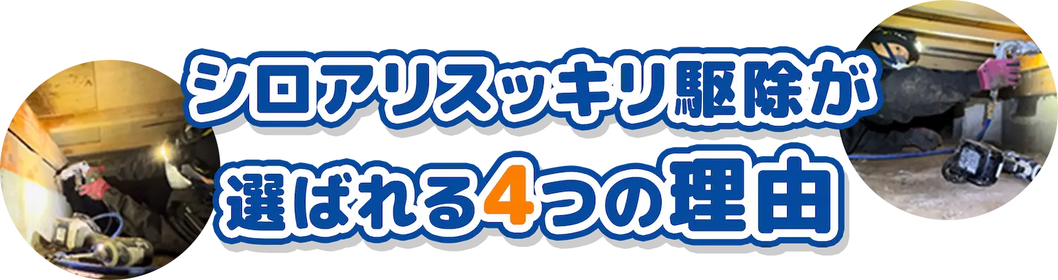 シロアリスッキリ駆除が選ばれる4つの理由