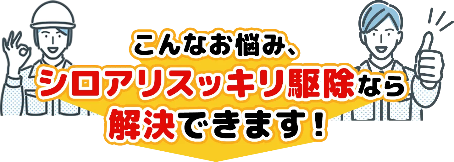 こんなお悩み、シロアリスッキリ駆除なら解決できます！